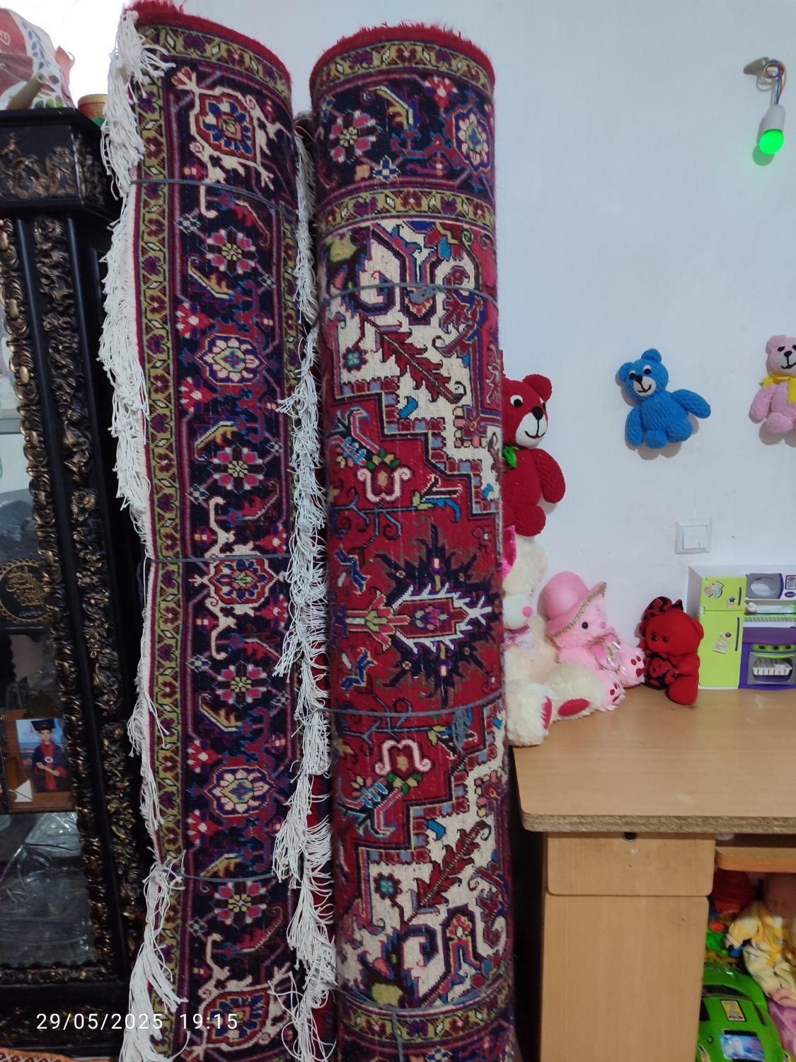 فرش دستباف|فرش|سهند, |دیوار