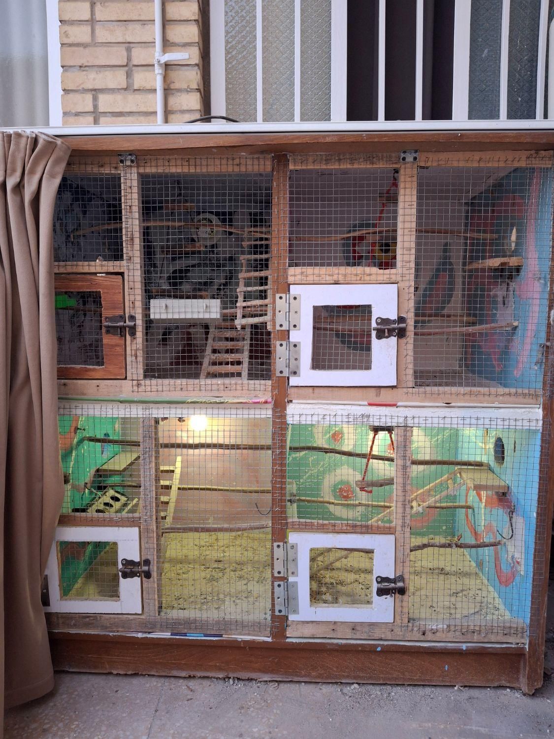 قفس مخصوص طوطی|لوازم جانبی حیوانات|بهبهان, |دیوار