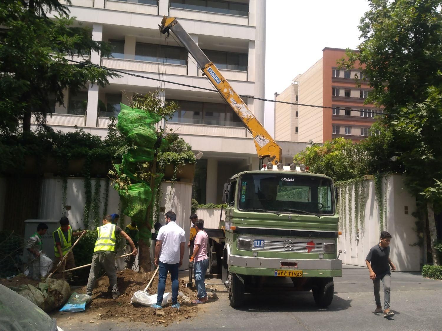 خدمات اجاره و کرایه جرثقیل خاور کفی/کل مناطق تهران|خدمات حمل و نقل|تهران, تهرانسر شرقی|دیوار