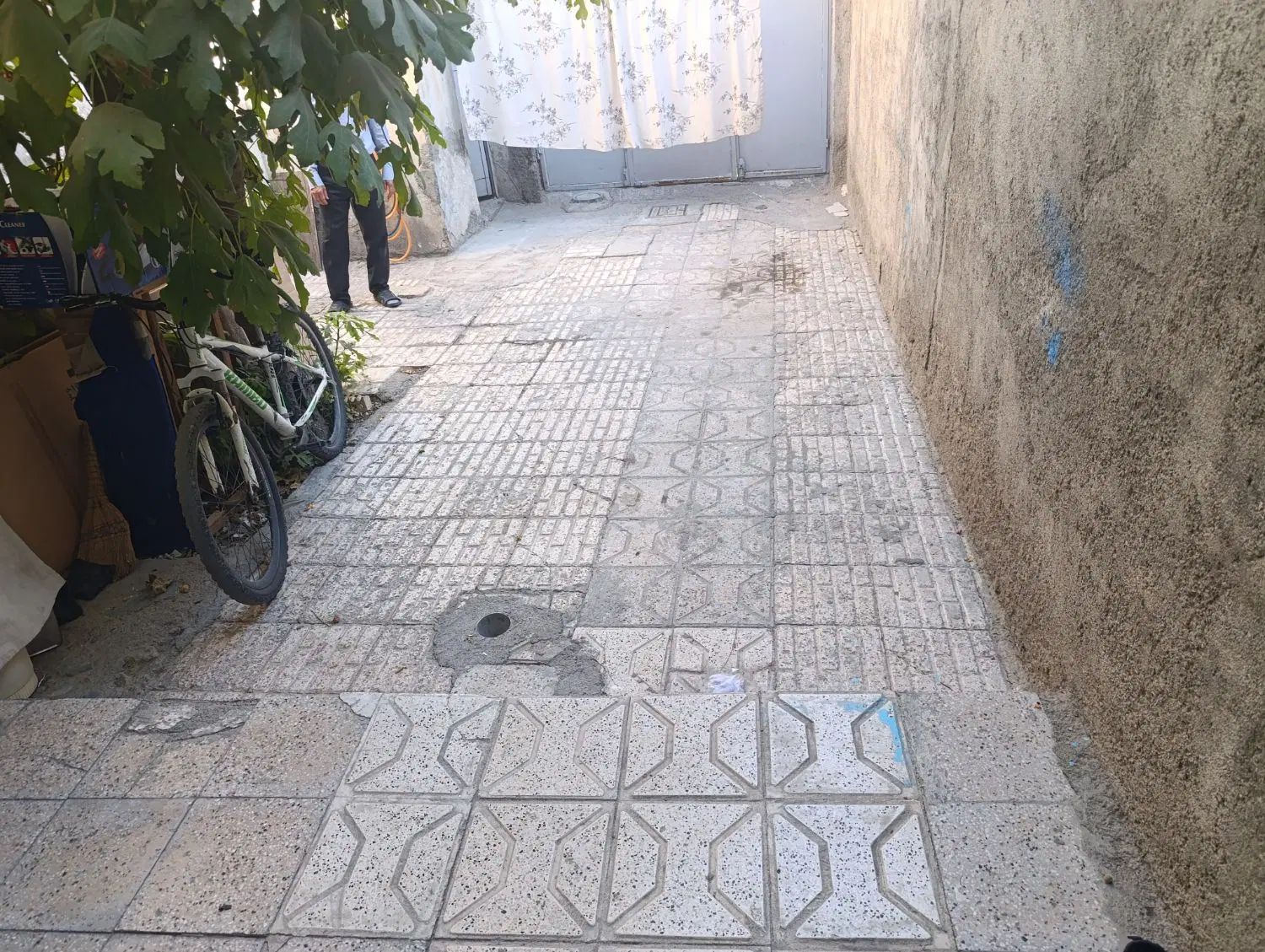 تصویر 2
