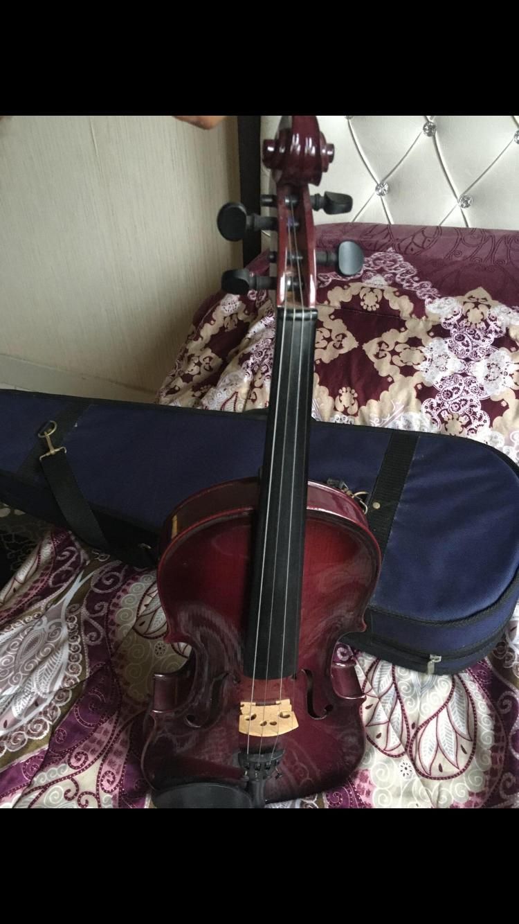 ویولون رنگ زیبا|ویولن|رشت, بلوار گیلان|دیوار