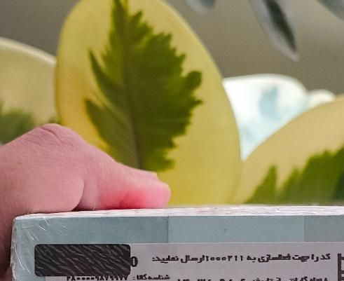 آکبند و پلمپ باز نشده ( ۳/۵ زیر قیمت) ۲۵۶ گیگ cmf|موبایل|تهران, جی|دیوار