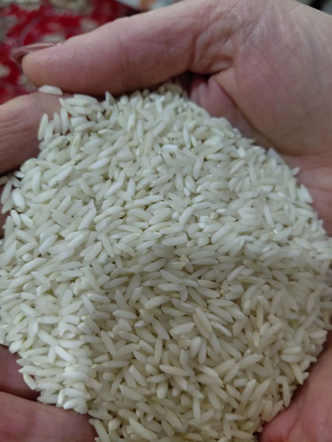 برنج علی کاظمی اعلا عطری خوش خوراک مستقیم کشاورز|خوردنی و آشامیدنی|ماکلوان, |دیوار