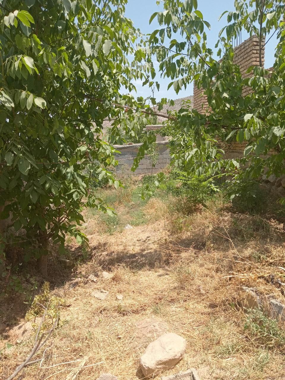 زمین مسکونی همراه با خانه نیمه ساخت و درختان میوه|فروش خانه و ویلا|آشخانه, |دیوار