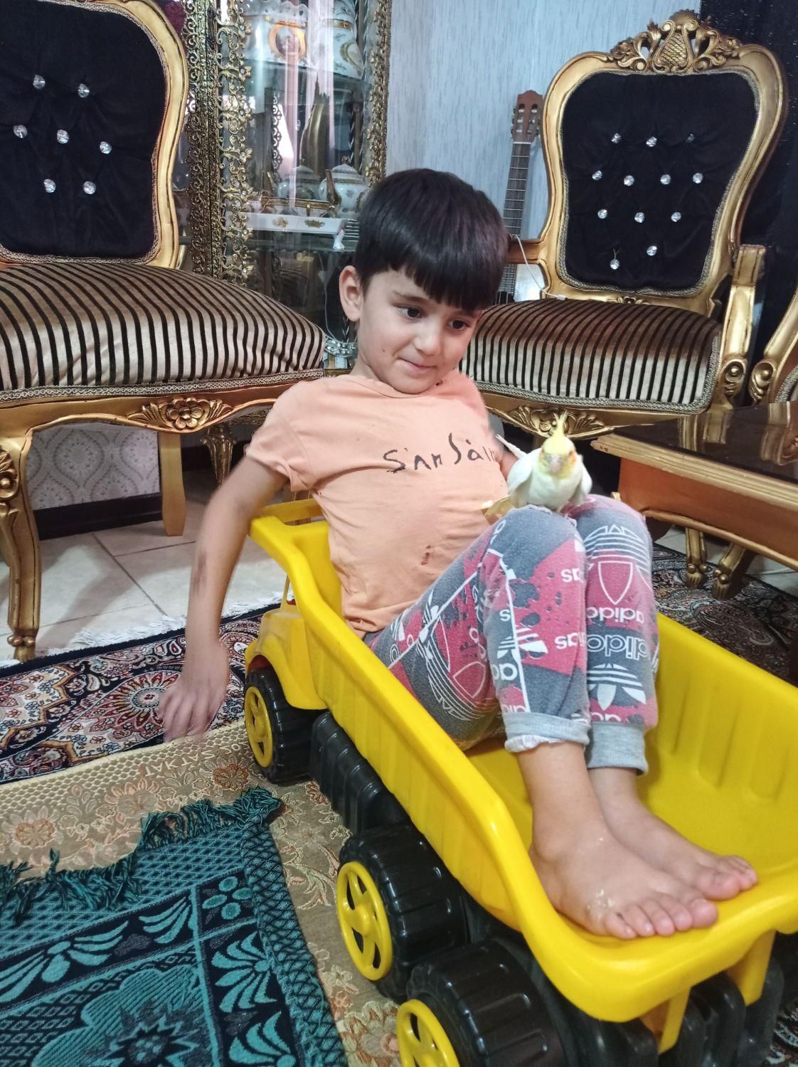 کامیون اسباب بازی سایز بزرگ دیلمان.|اسباببازی|شهریار, اسدآباد|دیوار