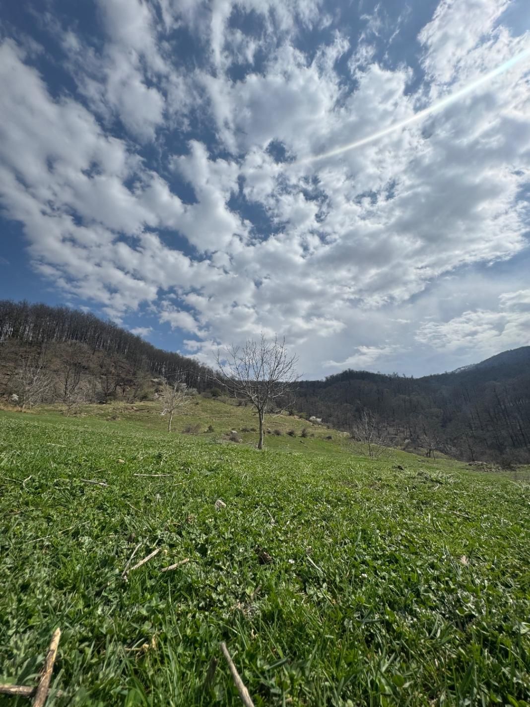 زمین کوهستانی و ییلاقی داخل بافت روستای غریب آباد|فروش زمین و ملک کلنگی|فاضل آباد, |دیوار