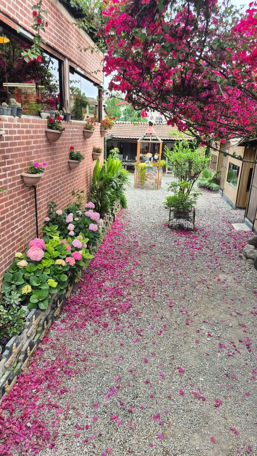 نیروی قلیون زن کافه|استخدام خدمات فروشگاه و رستوران|تنکابن, |دیوار