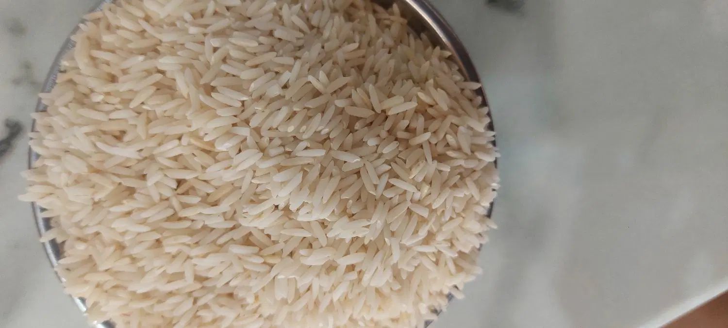 فروش برنج هاشمی درج یک|خوردنی و آشامیدنی|رشت, عینک|دیوار
