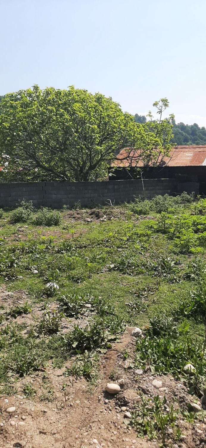 فروش ویژه ی زمین سند دار در سوادکوه شهر زیراب|فروش زمین و ملک کلنگی|زیرآب, |دیوار