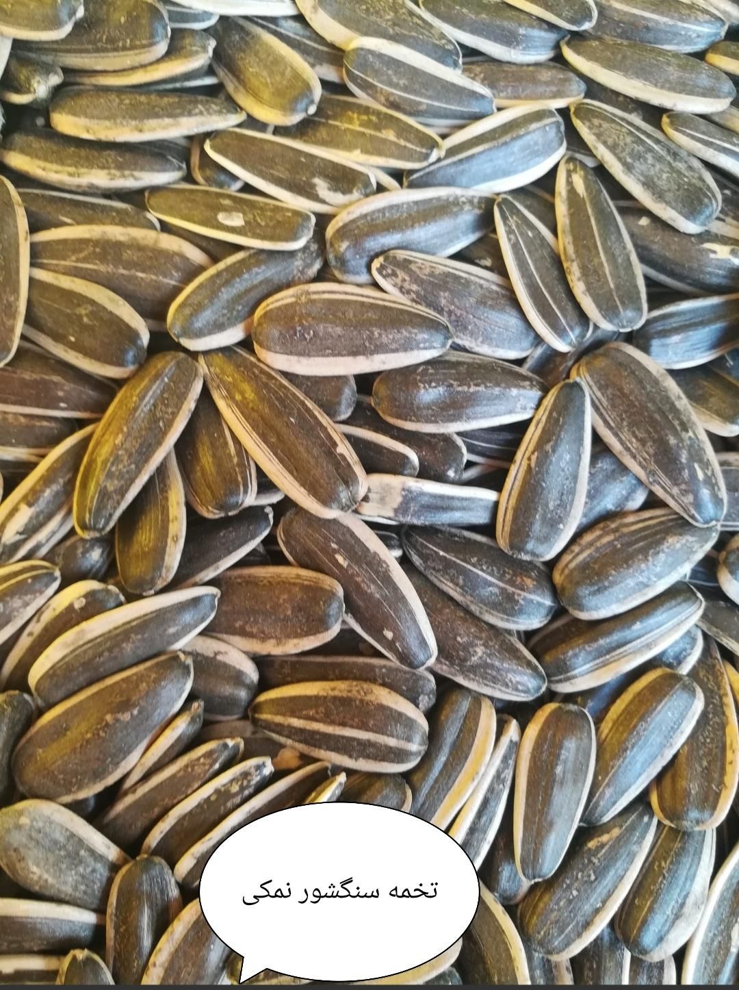 فروش تخمه بصورت جز و عمده|خوردنی و آشامیدنی|رشت, فرزانه|دیوار