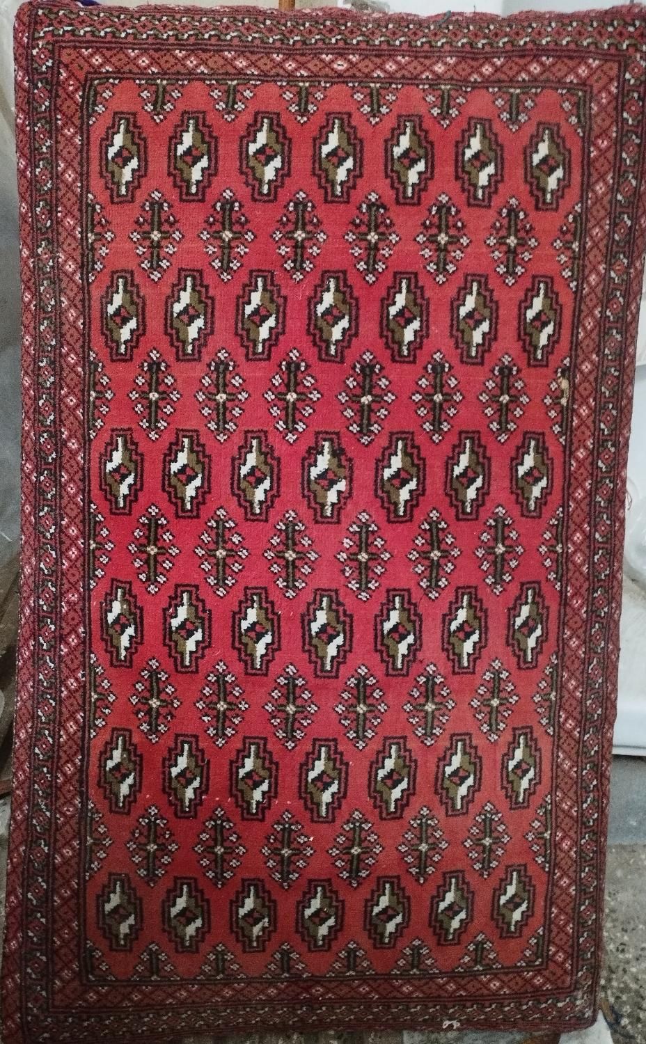 ده عدد پشتی سالم دونه ای فقط پنجاه|پشتی|گرگان, |دیوار