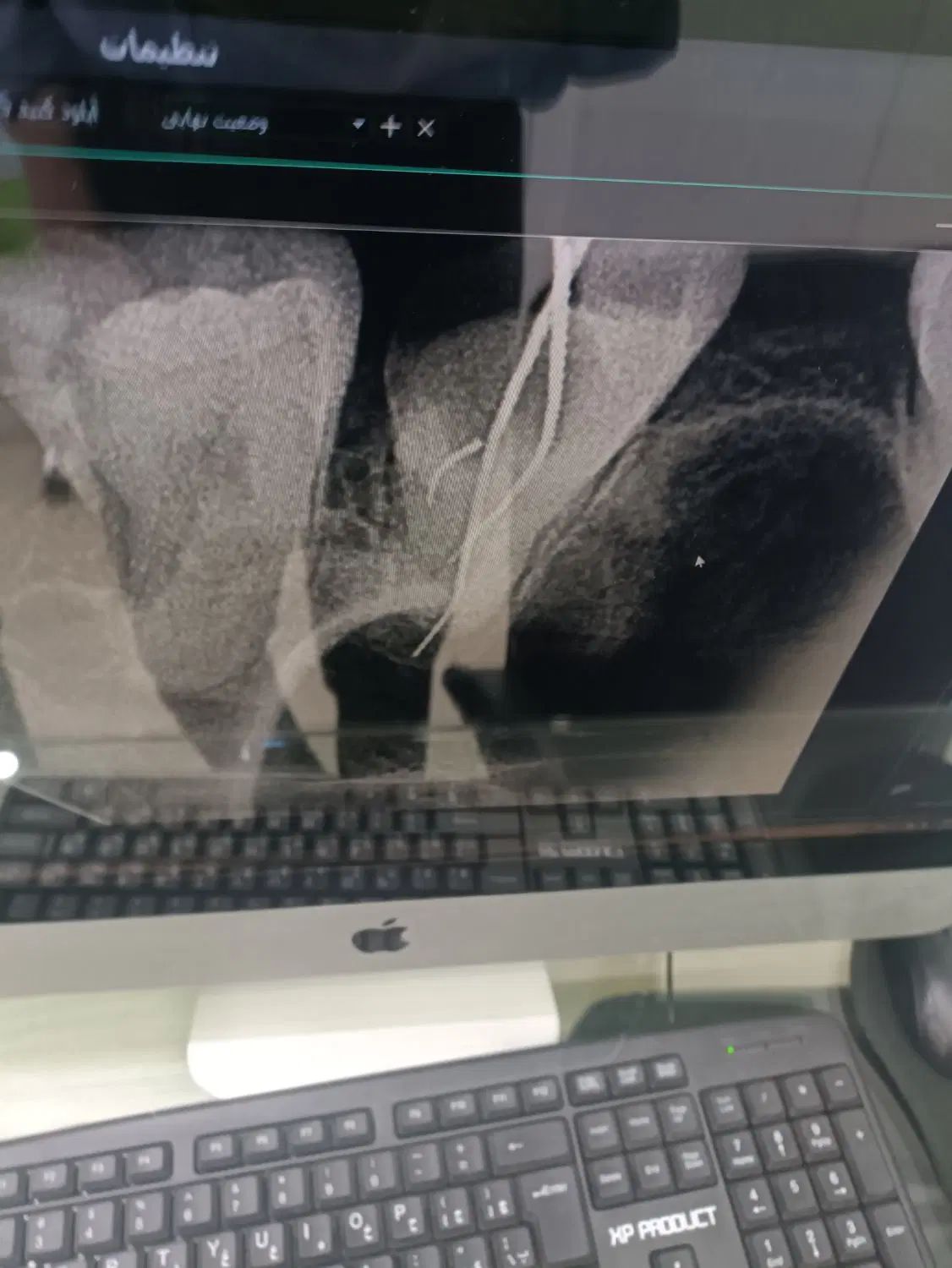 اجاره مطب دندانپزشکی با تجهیزات در شیفت صبح|اجارهٔ دفتر کار، اتاق اداری، مطب|مشهد, بهشت|دیوار