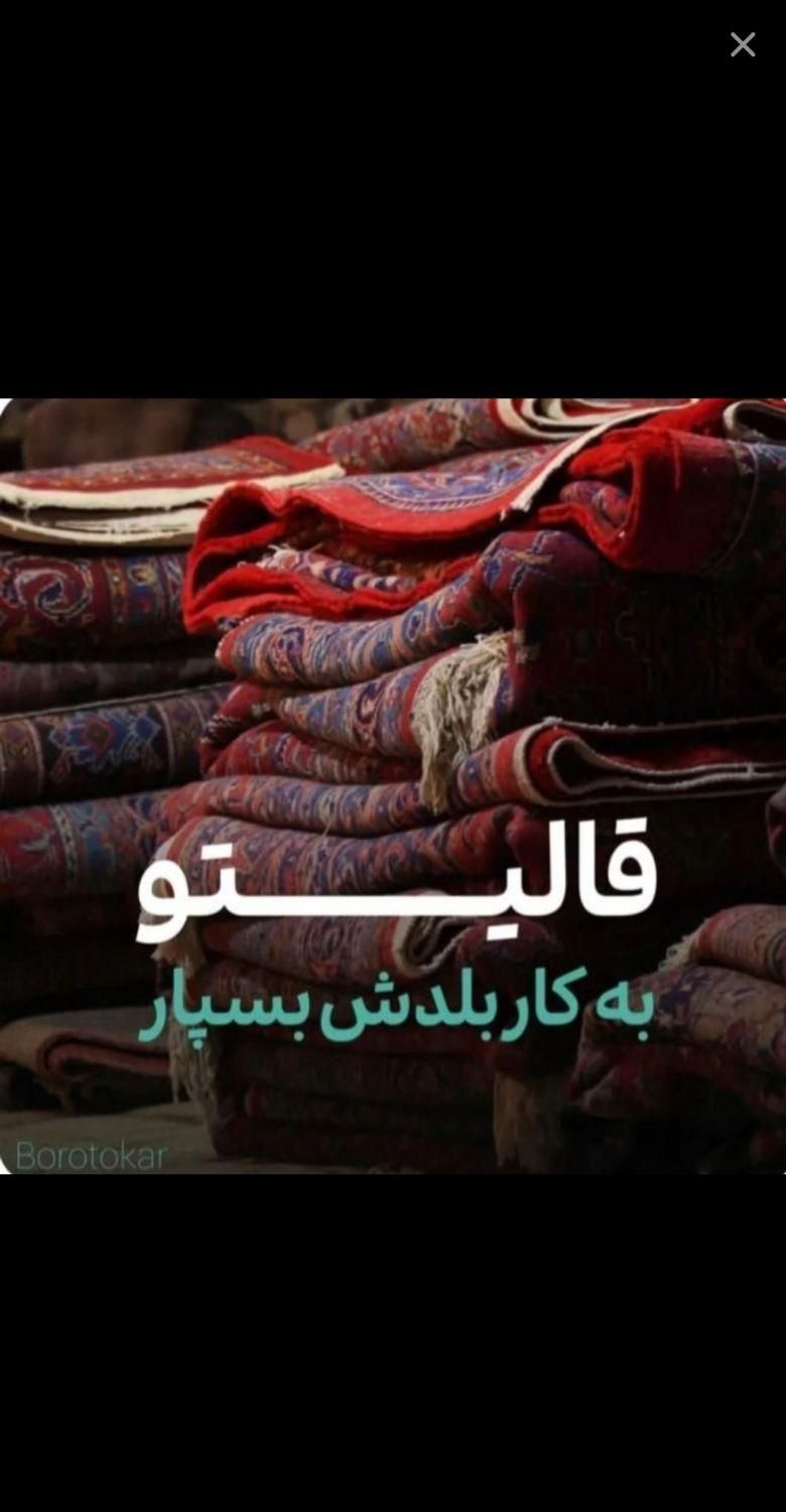 کارخانه قالی شویی مدرن فرشینه|خدمات نظافت|دورود, |دیوار