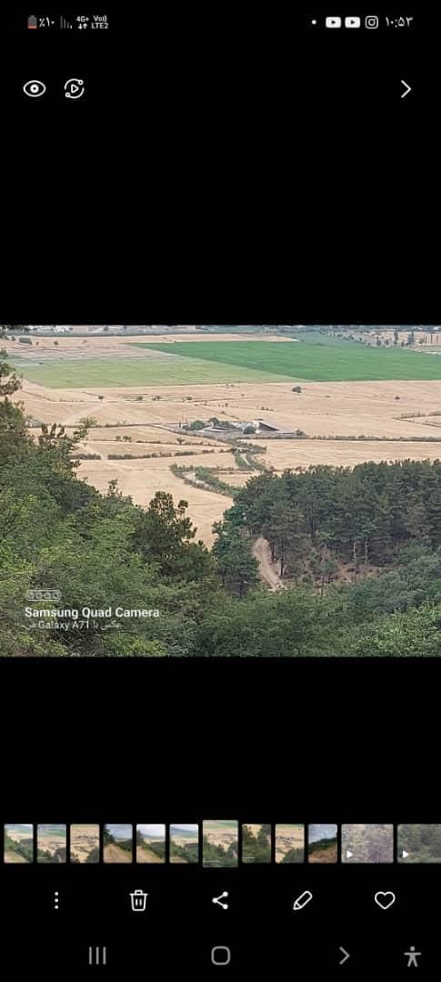 دامداری صنعتی|فروش دفتر صنعتی، کشاورزی، تجاری|گنبد کاووس, |دیوار