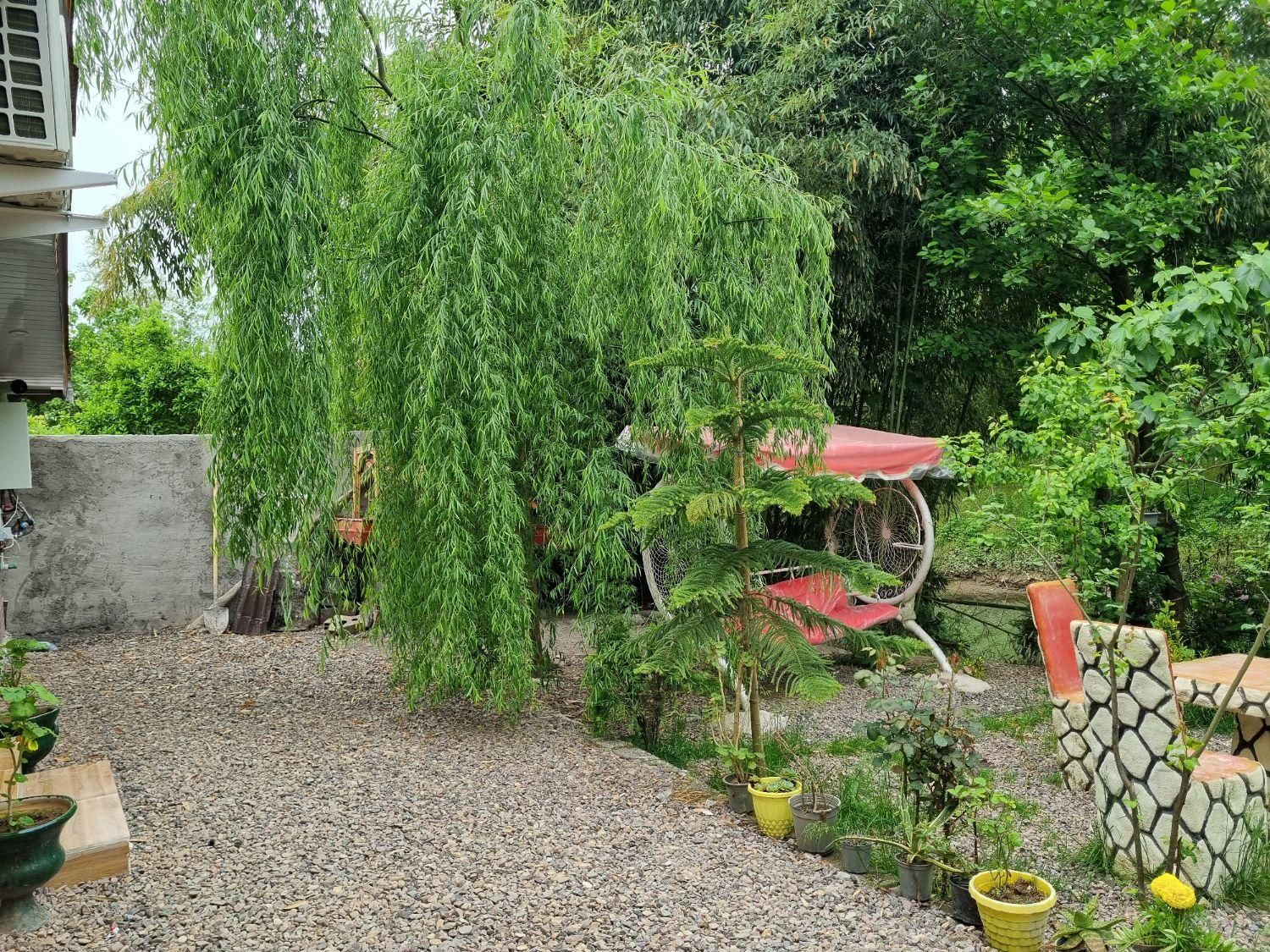 ویلا کنار رودخانه تاب باغی وباربیکیو وجا ماهیگیری|اجارهٔ کوتاه‌مدت ویلا و باغ|رودبنه, |دیوار