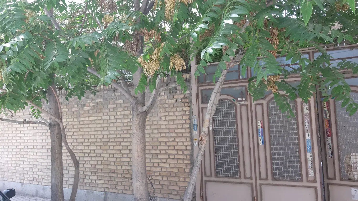 ویلایی جنوبی ۲۵۰متری پروانه دار قاسم آباد|فروش خانه و ویلا|مشهد, نرگس (شهرک غرب)|دیوار