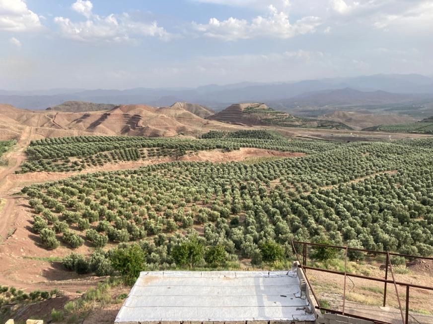 فروش ویلای ۱۰۰۰ متری با ۶۰ هکتار باغ زیتون|فروش زمین و ملک کلنگی|رودبار, |دیوار