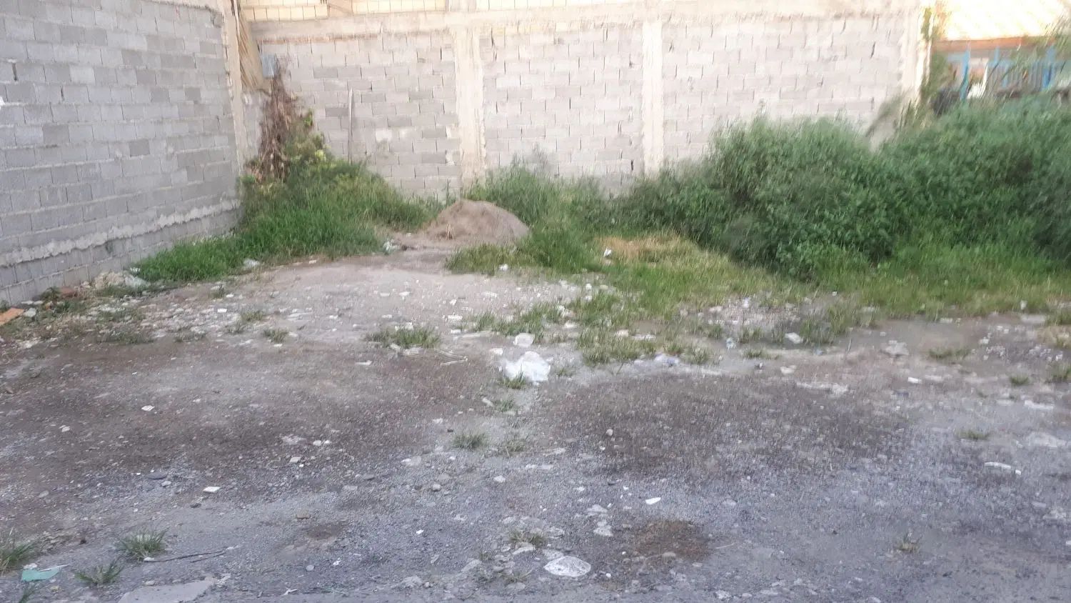زمین به مساحت ۴۰ متر واقع در شهرک گلهای  کوچه ۲۵|فروش زمین و ملک کلنگی|رشت, لاکان شهر|دیوار