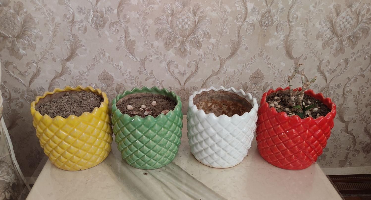 گلدان سفالی|گل و گیاه طبیعی|رباطکریم, شترخوار|دیوار