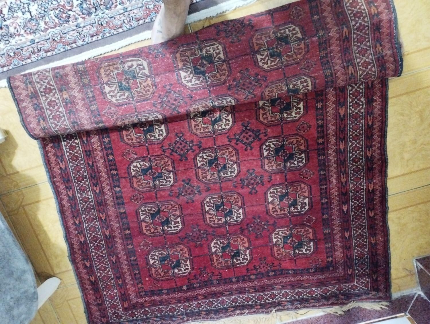توافقی|فرش|رشت, جماران|دیوار