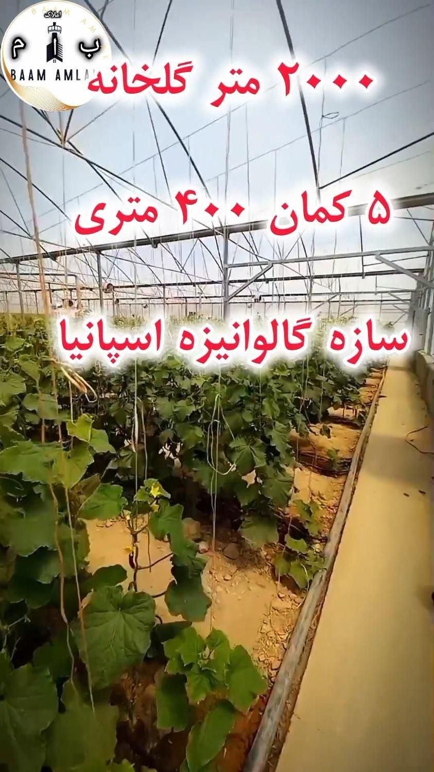 فروش گلخانه بزرگ/زیر فی/وام دارد/اقساطی هم می دهیم|فروش دفتر صنعتی، کشاورزی، تجاری|مشهد, سرافرازان|دیوار