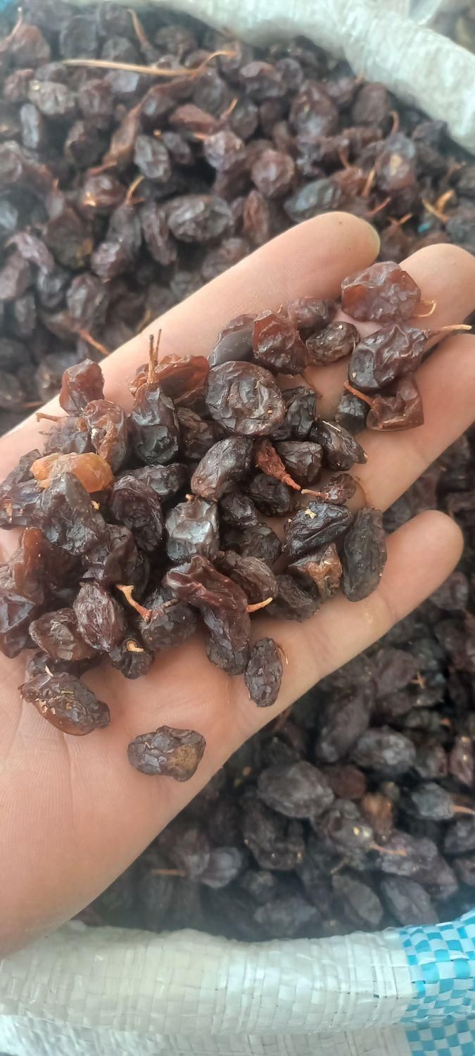 کشمش دیم|خوردنی و آشامیدنی|ارومیه, |دیوار