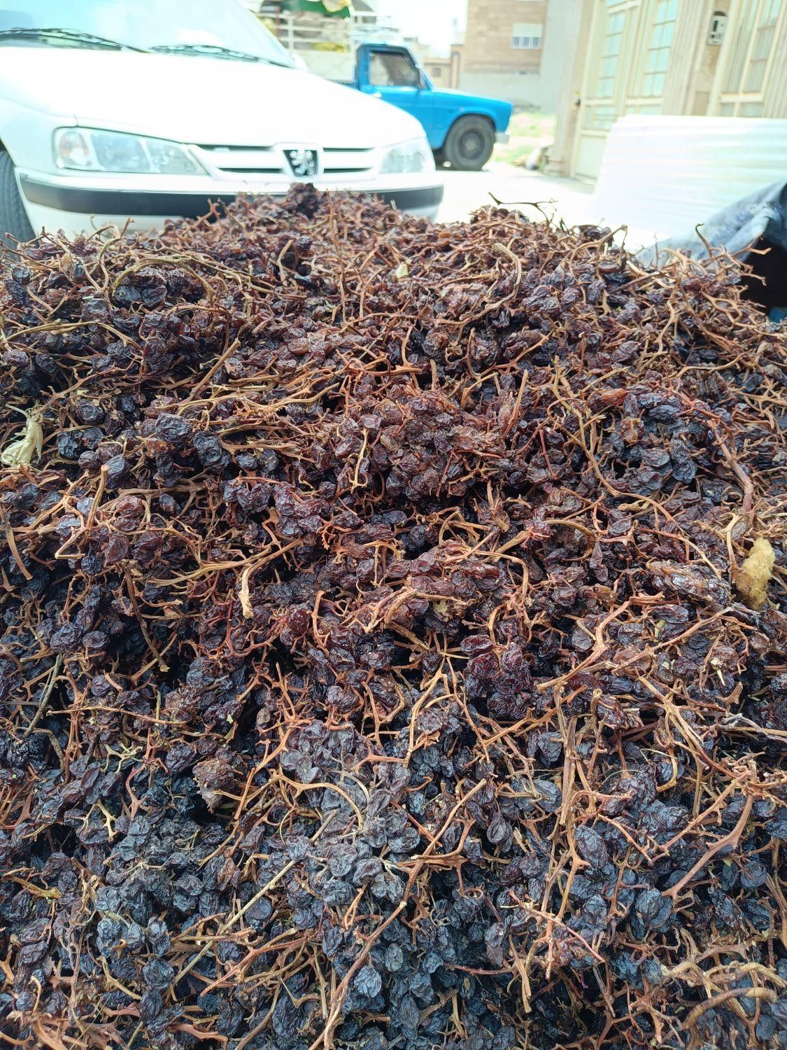 مویز وکشمش خرما خمیر خرما شیره خرما|عمدهفروشی|شیراز, شهرک مدرس|دیوار