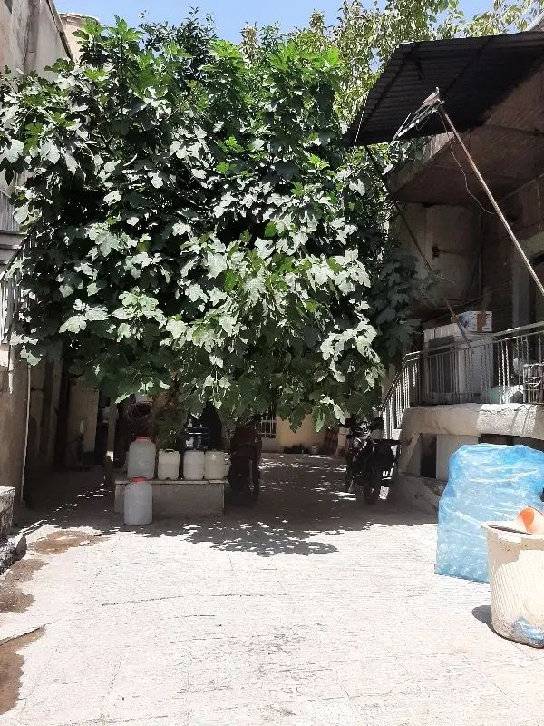 اتاق مجردی مختص آقایان نزدیک بازاربزرگ تهران|اجارهٔ خانه و ویلا|تهران, سیروس|دیوار