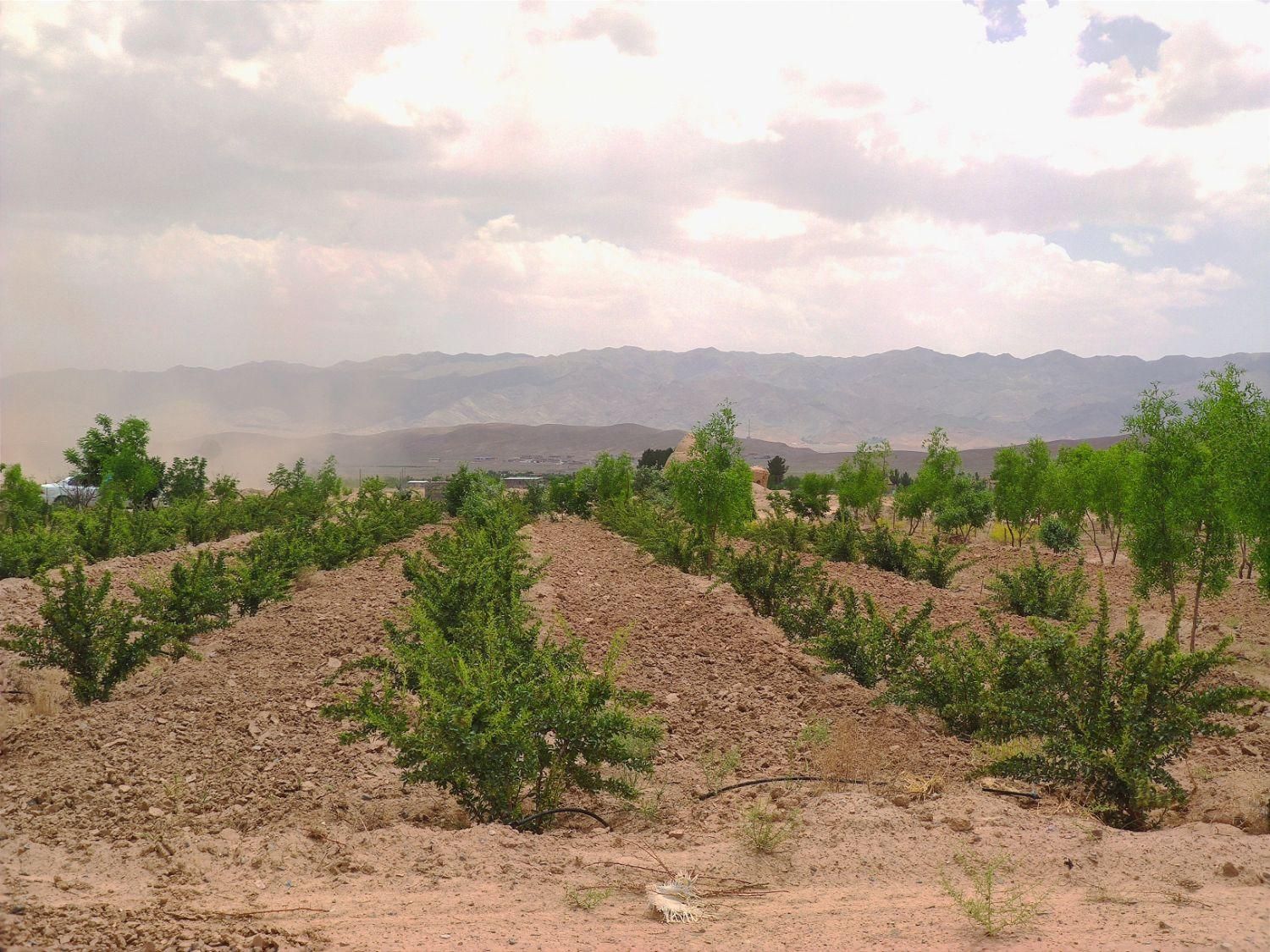 تصویر 3