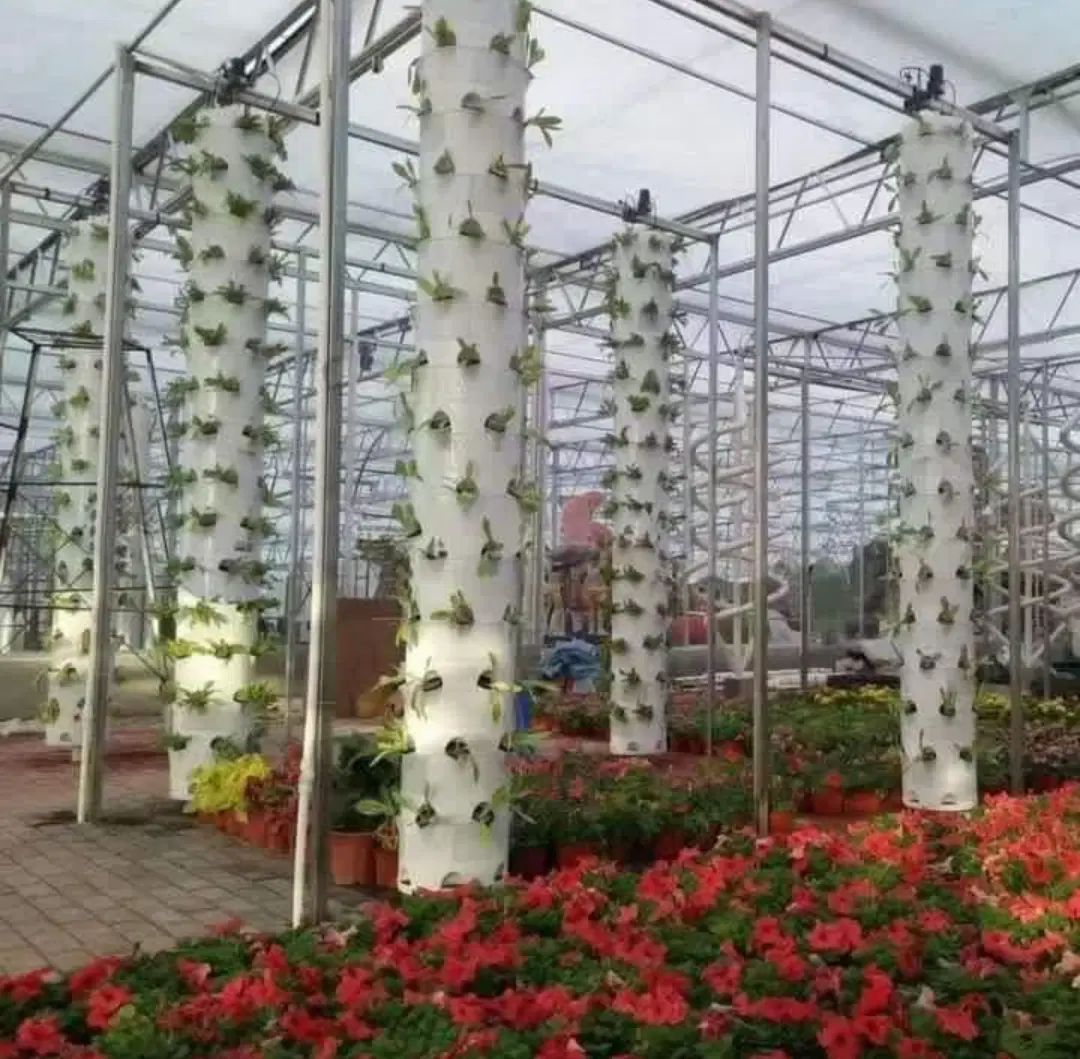 مشاور و اجرای گلخانه های مدرن طبقاطی بدون خاک nft|خدمات باغبانی و درختکاری|تهران, جوادیه تهرانپارس|دیوار