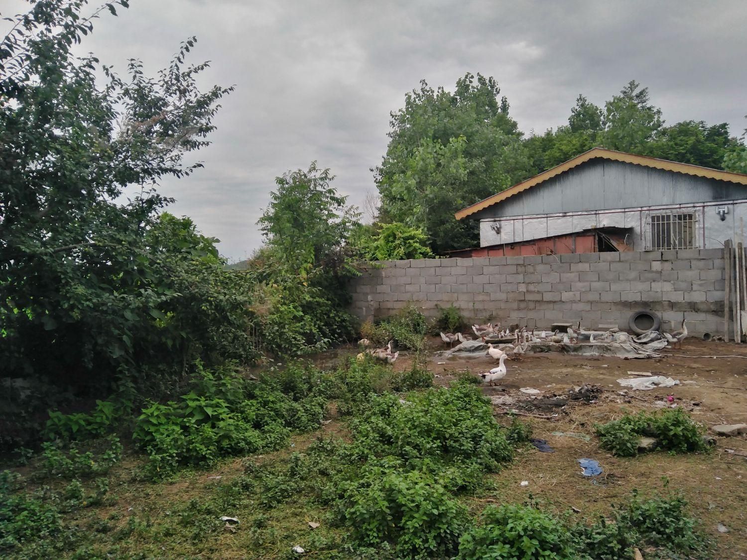 638 متر زمین مسکونی ساحلی در تازه آباد رضوانشهر|فروش زمین و ملک کلنگی|رضوانشهر, |دیوار