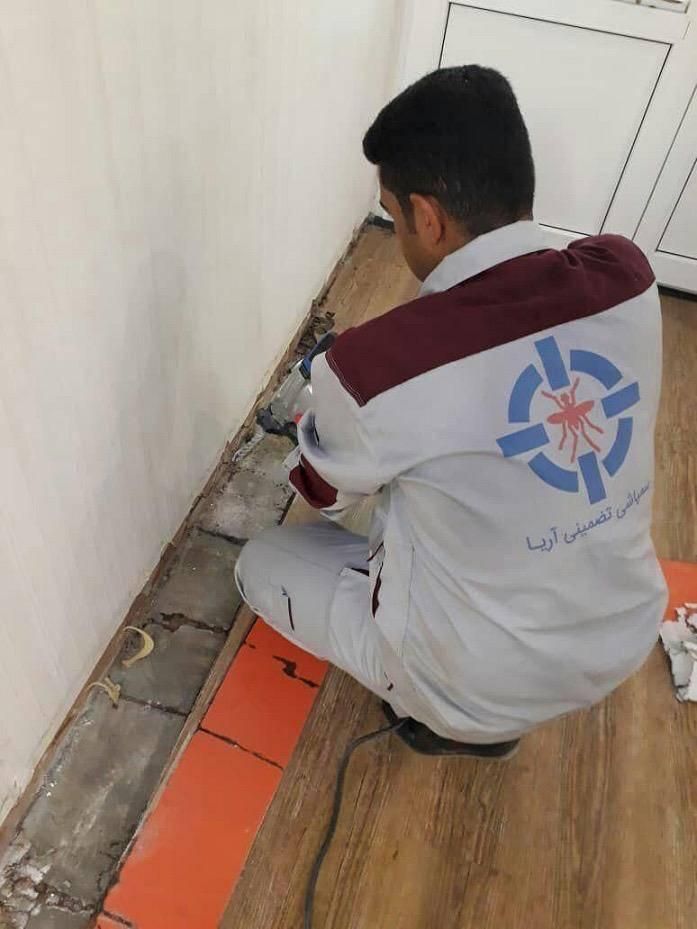 شرکت سم پاشی موریانه زدایی سمپاشی سوسک ساس موش|خدمات نظافت|خرمشهر, |دیوار