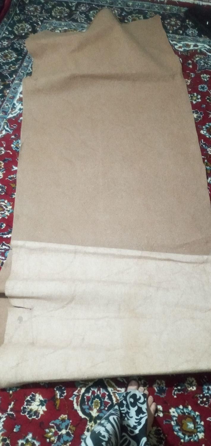 موکت کناره|موکت|کرمانشاه, |دیوار