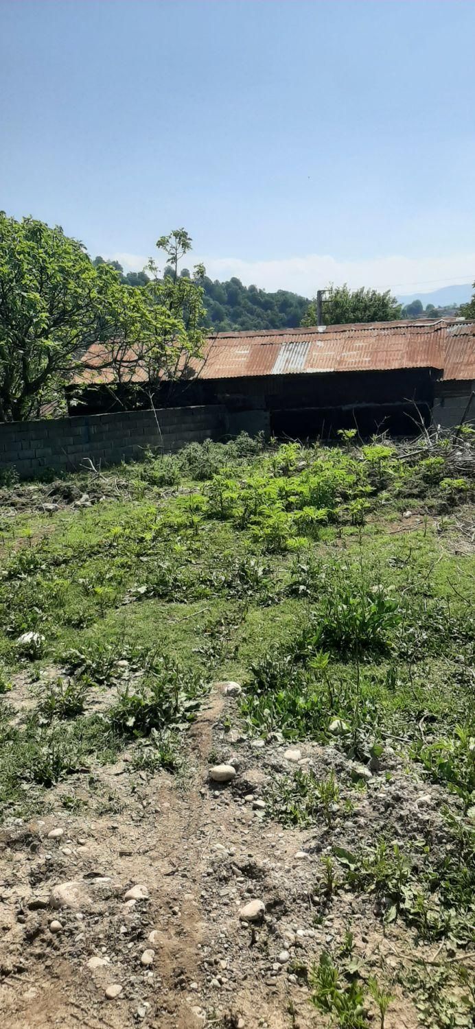 فروش ویژه ی زمین سند دار در سوادکوه شهر زیراب|فروش زمین و ملک کلنگی|زیرآب, |دیوار