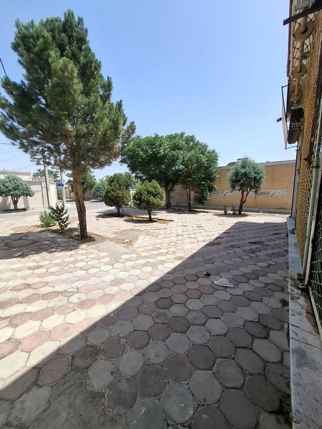 فروش مغازه ۴۵ متری /خیابان دانش آموز|فروش مغازه و غرفه|گلبهار, شهر جدید گلبهار|دیوار