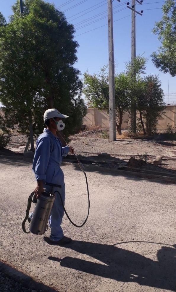 سمپاشی (کل اهواز)ساس موریانه سوسک سم پاشی مارعقرب|خدمات نظافت|اهواز, زیتون کارمندی|دیوار