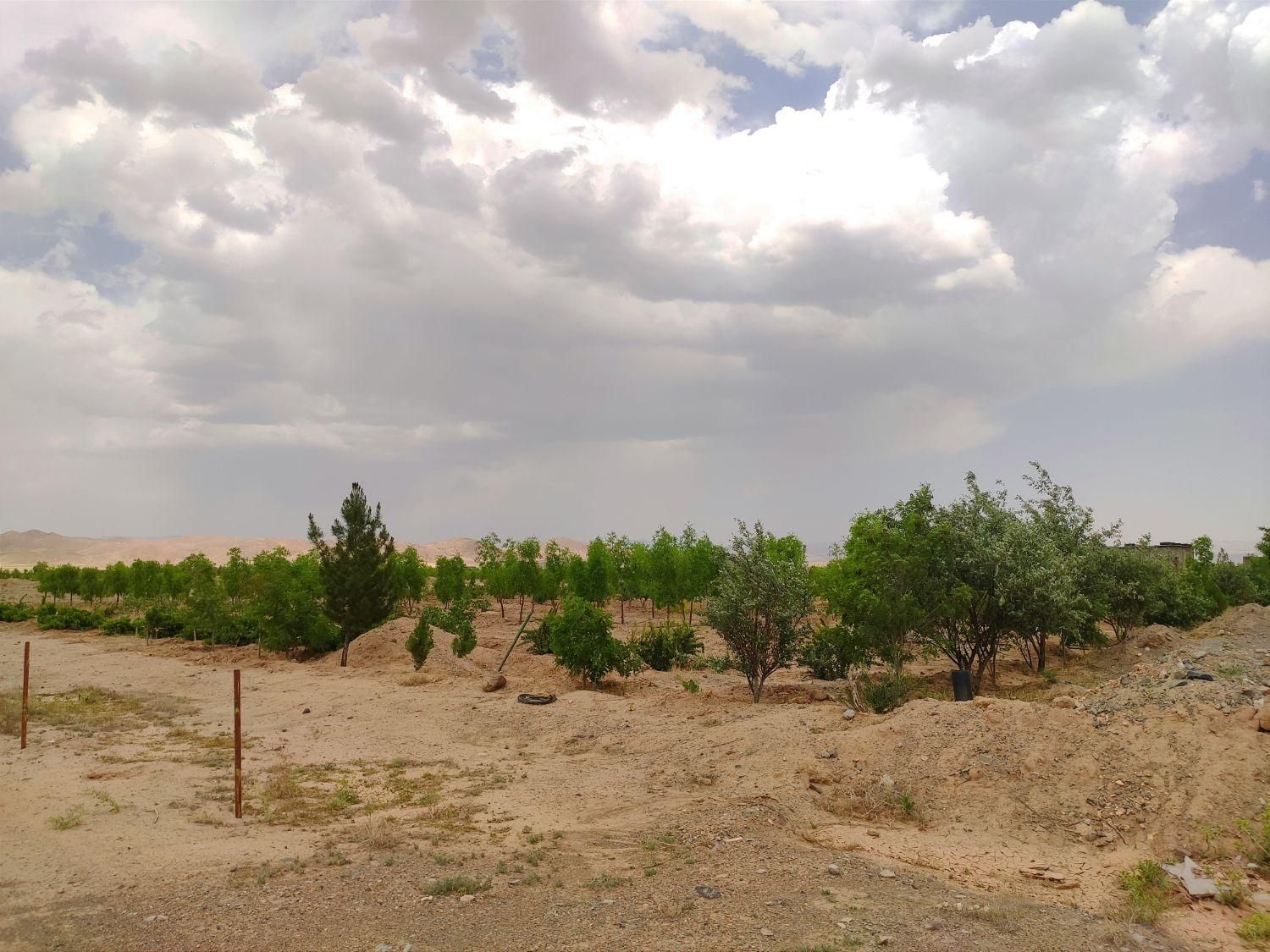 تصویر 7