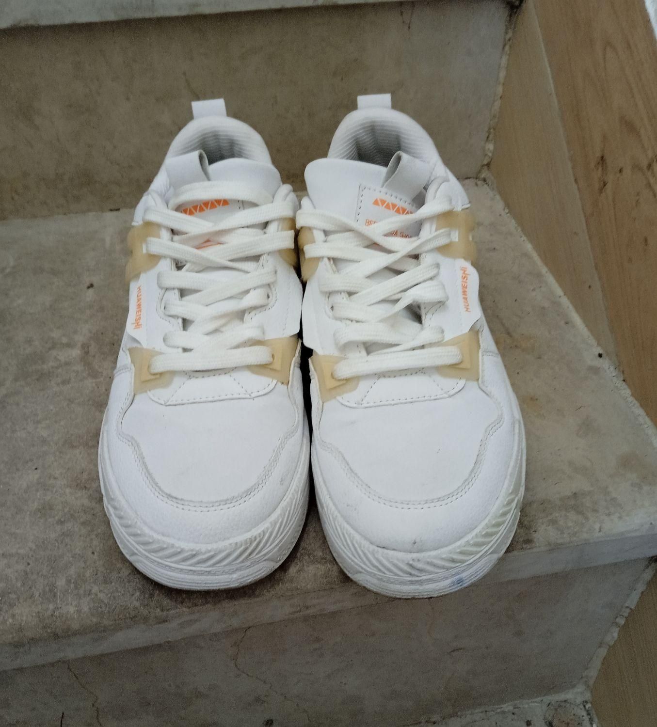 کتونی چرم|کیف، کفش، کمربند|رشت, معلولین|دیوار