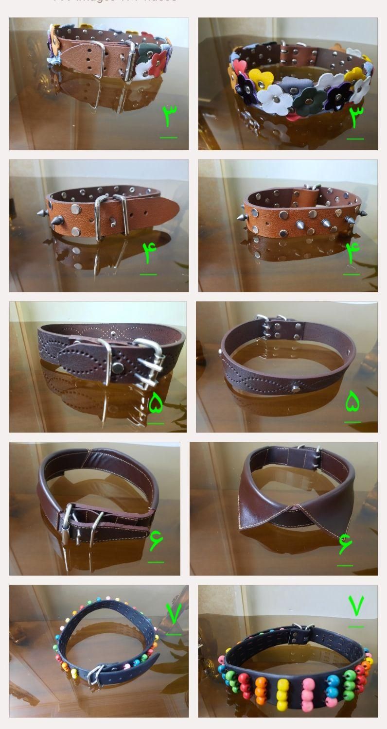 قلاده سگ (چرم اصل ، چرم طبیعی، طرح فانتزی)|لوازم جانبی حیوانات|تهران, حکیمیه|دیوار