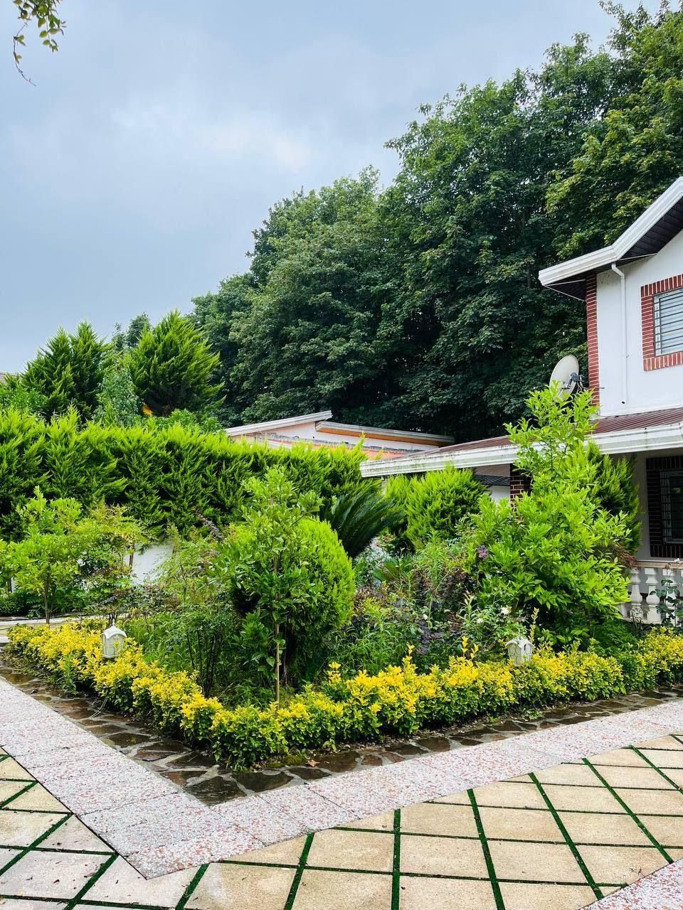 ویلاباغ ۶۰۰متری جنگلی چمستان *استخردار مبله با سند|فروش خانه و ویلا|رامسر, |دیوار