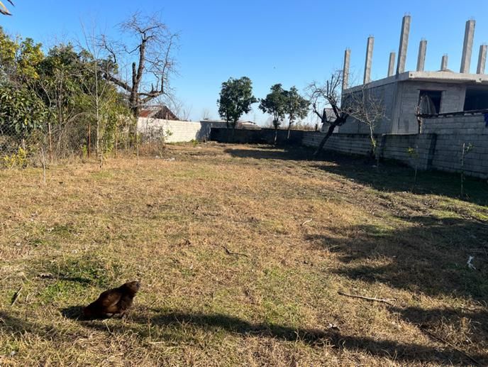 زمین ۵۷۵ متری مسکونی /سند تک برگ / روستای چکو‌پشت|فروش زمین و ملک کلنگی|رضوانشهر, |دیوار