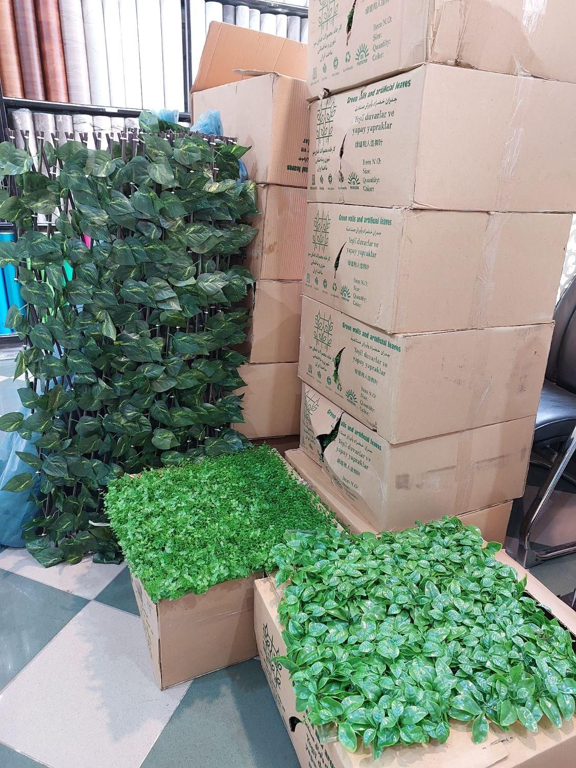 چمن مصنوعی، گرین وال، آکاردئونی، فنس برگی|گل مصنوعی|اردبیل, |دیوار