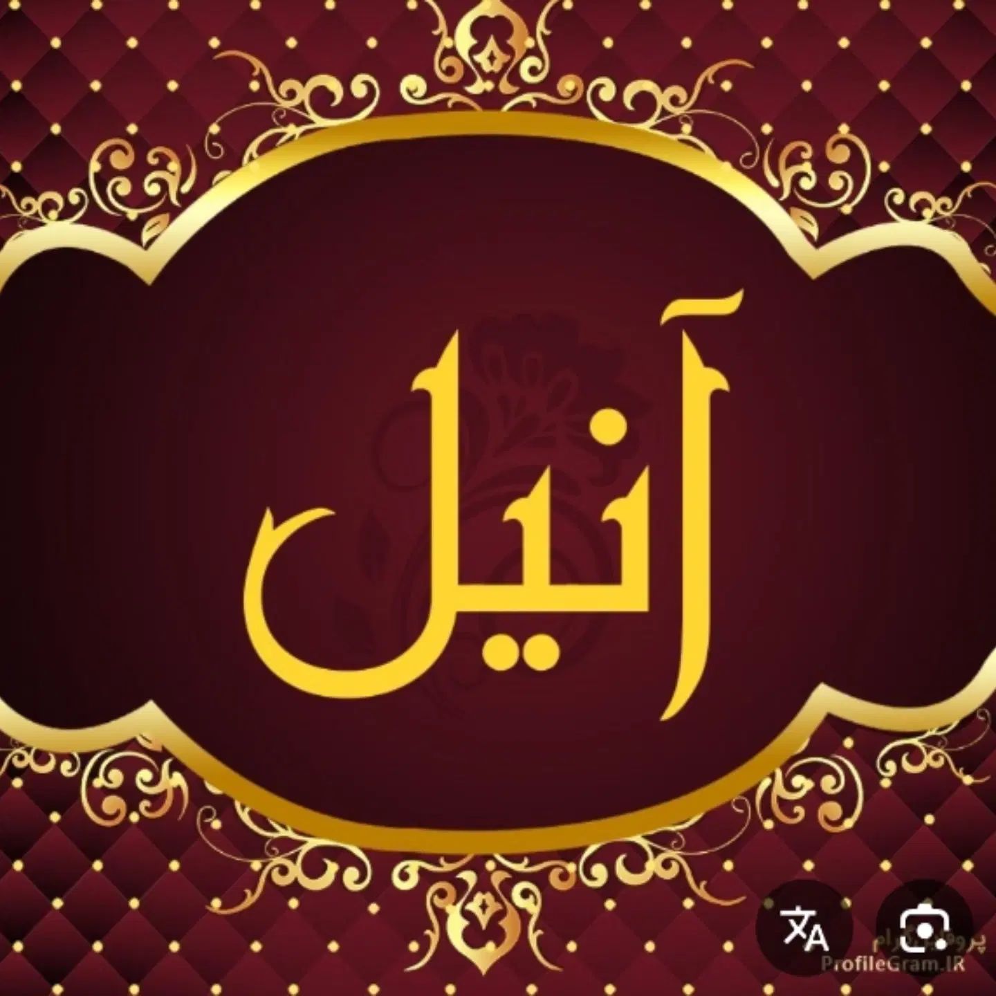 قالیشویی و مبل شویی مرکزی آنیل سراسر البرز|خدمات نظافت|کرج, باغستان|دیوار