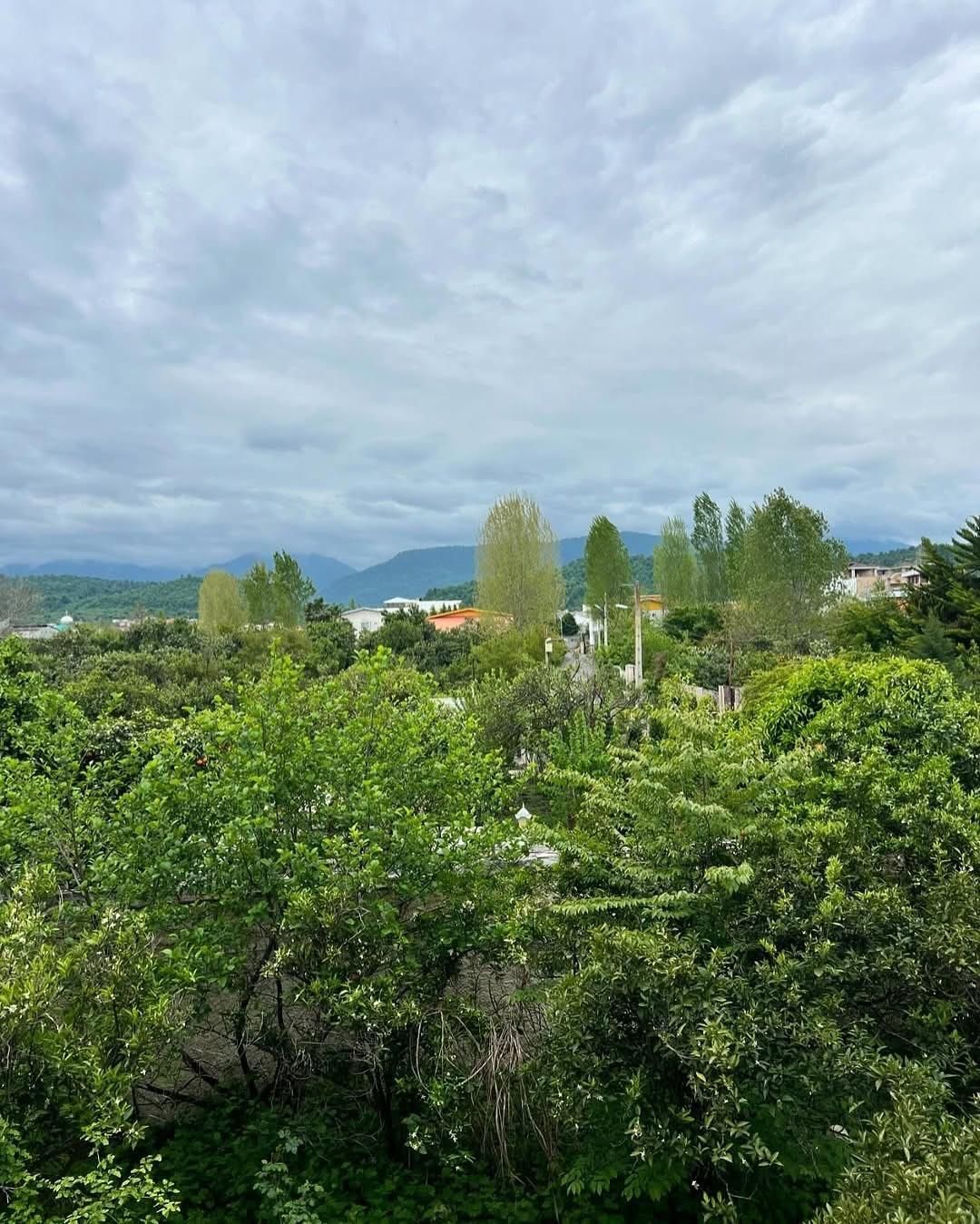 عروسک شمال۴۵۰متری/شهرک برندهکتاری/سنددار|فروش خانه و ویلا|محمودآباد, |دیوار