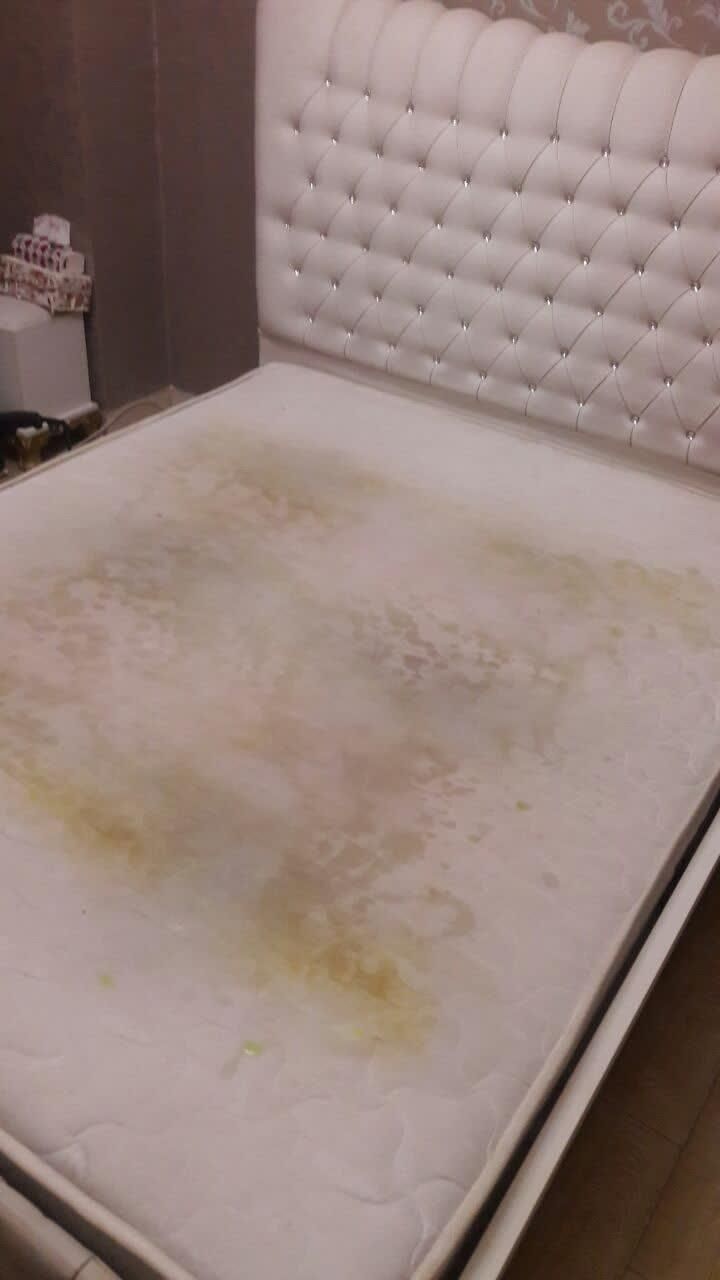 مبلشویی  مبل شویی  قالیشویی|خدمات نظافت|ایلام, |دیوار