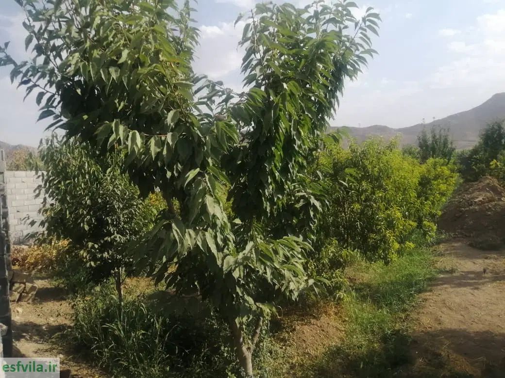 فروش زمین ۱۰۰۰ متری در اصفهانک|فروش زمین و ملک کلنگی|اصفهان, اصفهانک|دیوار