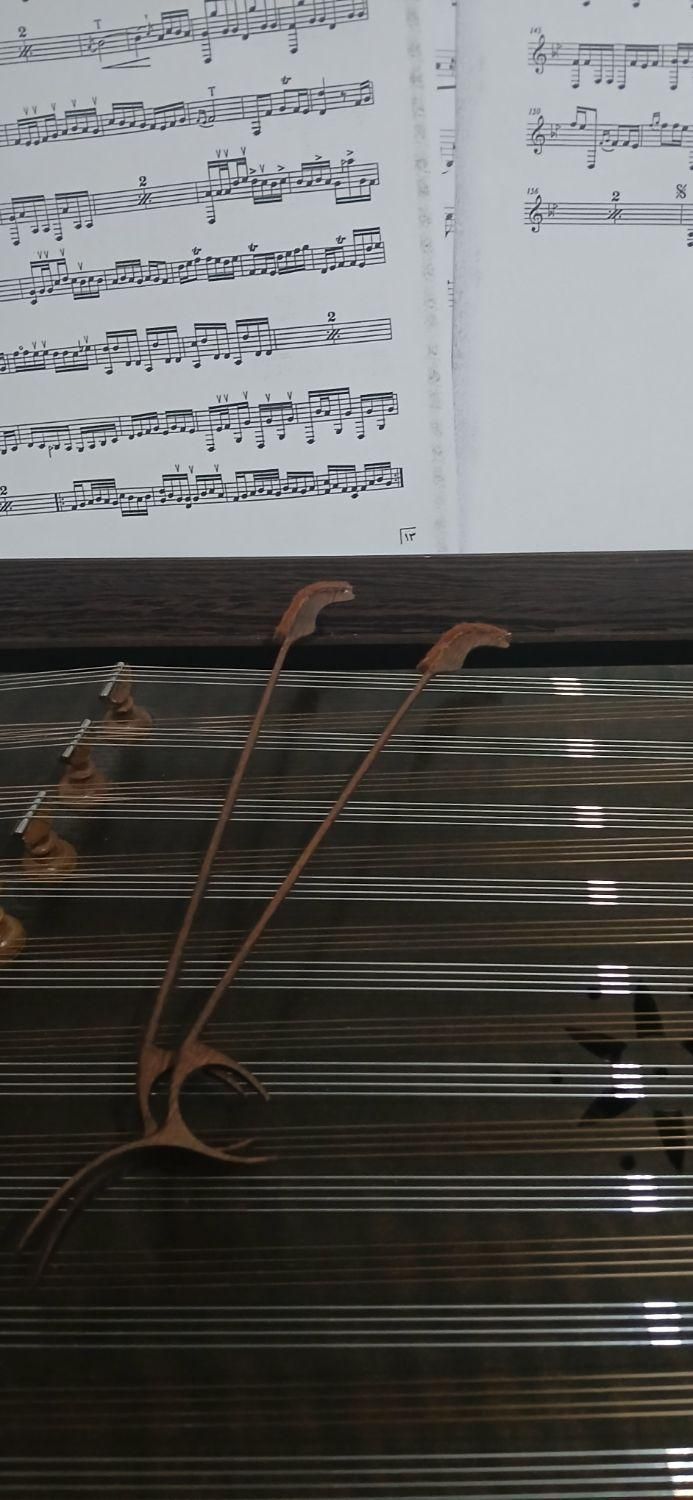 آموزش ساده و آکادمیک سنتور|خدمات آموزشی|کرج, حصارک بالا|دیوار