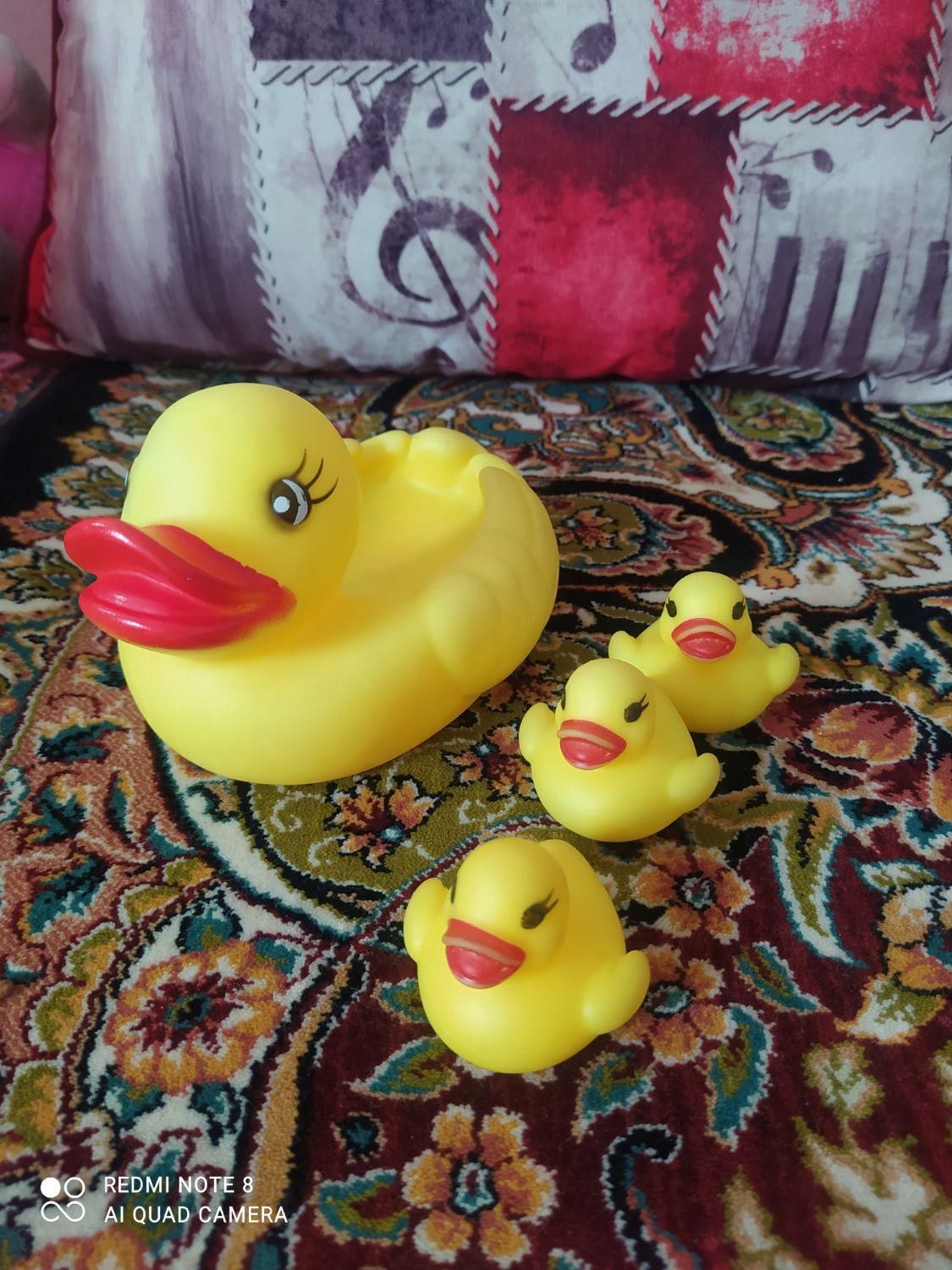اردک اسباب بازی|اسباب‌‌بازی|رشت, پل تالشان|دیوار