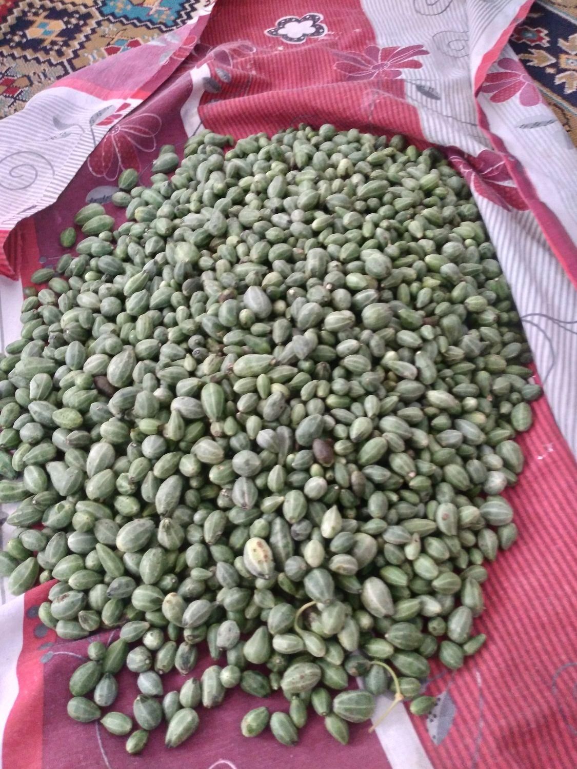 لگجی کیلویی ۱۰۰|خوردنی و آشامیدنی|شوشتر, |دیوار