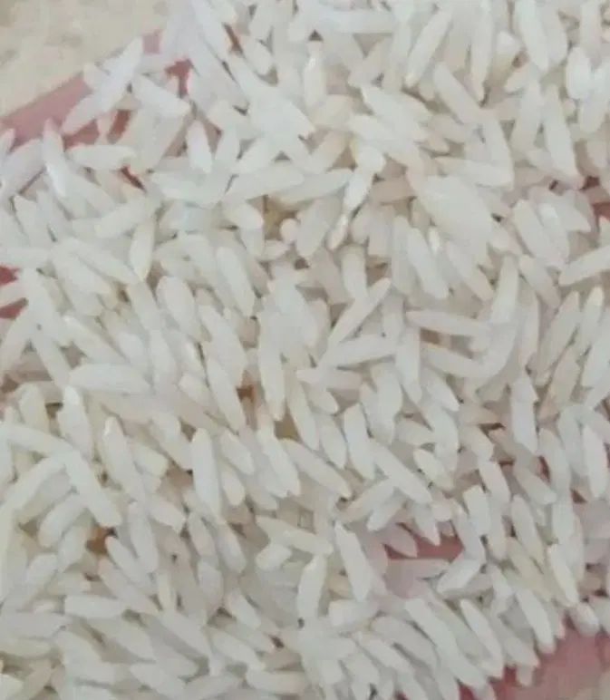 برنج هاشمی گرم محصول آستانه|خوردنی و آشامیدنی|تهران, جردن|دیوار